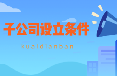 合肥子公司創辦的有什么條件？