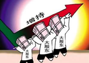 長春創(chuàng)業(yè)注冊公司對股東有哪些關(guān)鍵要求？