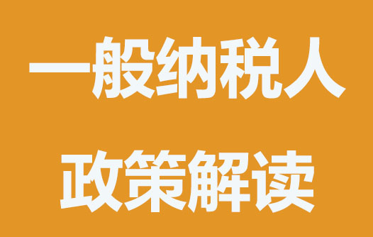 一般納稅人有哪些優(yōu)勢(shì)