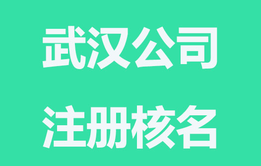 武漢公司注冊核名